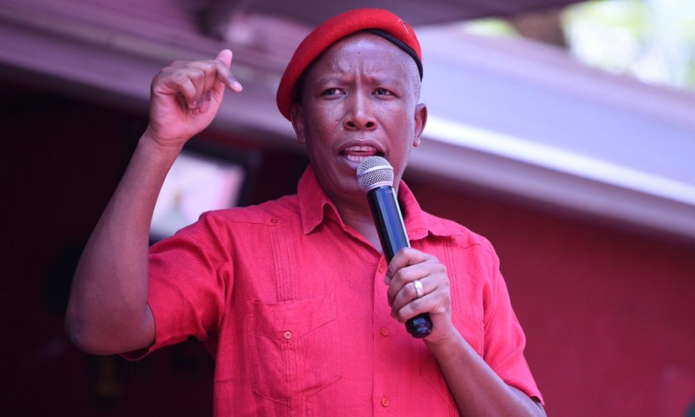 Economic Freedom Fighters leader Julius Malema