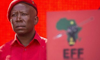 Economic Freedom Fighters leader Julius Malema