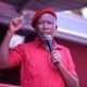 Economic Freedom Fighters leader Julius Malema