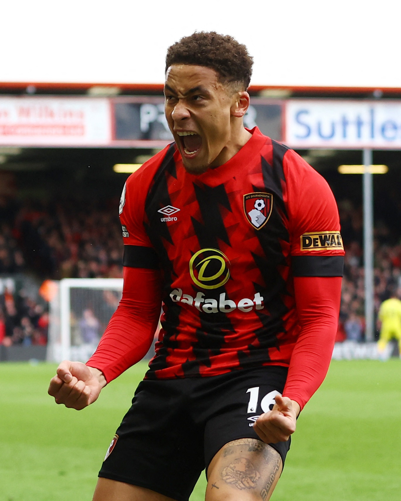 Bournemouth 2 - 1 Fulham