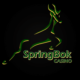 SouthAfricanCasinos.co.za Votes Springbok Casino